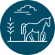 sania-zellinger-icon-pferdefuetterung